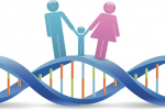 AKO BUDE VYZERAŤ MOJE DIEŤA: Nazrite do tajov genetiky