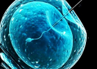 Mrazenie embryí