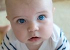 Genetická kombinatorika: Modré, zelené, hnedé... Aké oči bude mať moje dieťa?