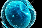 Mrazenie embryí – poistka či súrodenec...?