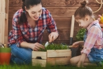 Sadíme v záhradke: babkine zlepšováky pre záhradkárky