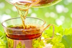 Pomôžu pri otehotnení bylinky, čaje, tanec či iné netradičné metódy?