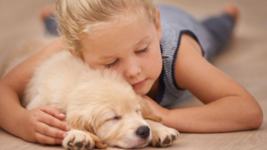 Keď uhynie domáci miláčik, rodičia by nemali dieťaťu podstrčiť nové zvieratko: 10 tipov, ako pomôcť dieťaťu prekonať smútok
