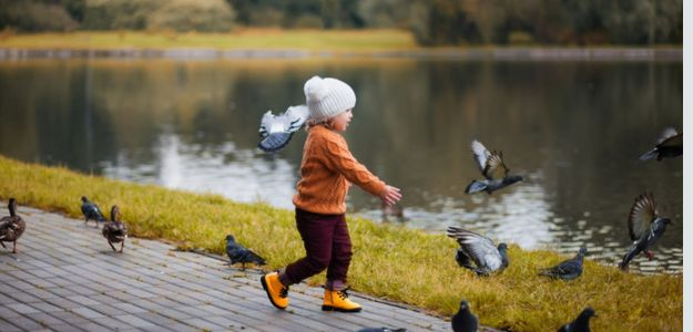 Zvedavé otázky detí: Prečo vtáky lietajú, ale my nie a iné záhady, na ktoré hľadáme odpovede