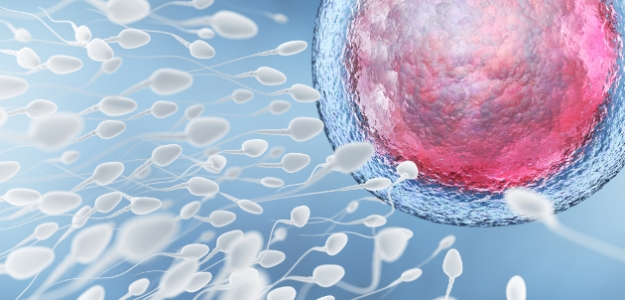 Nízky počet spermií a otehotnenie