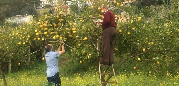 Mama Silvia z divokého juhu Talianska: Chýba nám slovenská škôlka