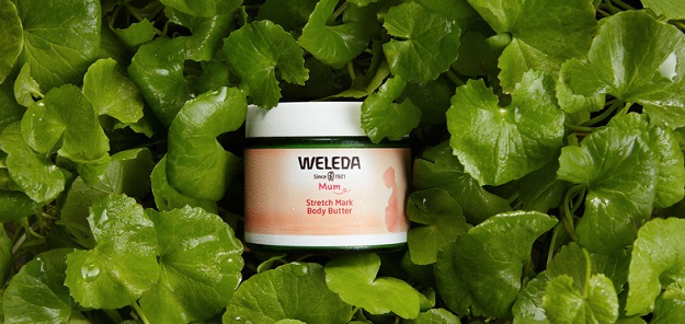 Weleda strie