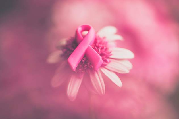 rakovina, rakovina prsníka, preventívne prehliadky, žena