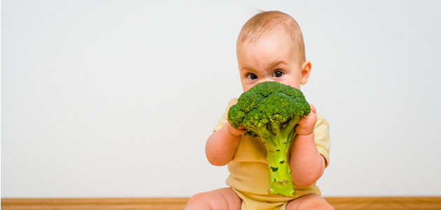 prvý príkrm, brokolica, žĺtok